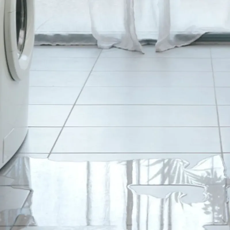 Appliance Leak Cleanup in Clanton, AL