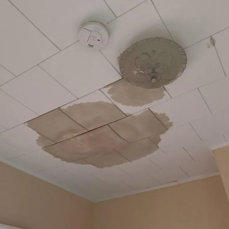 Ceiling Water Damage Repair in Clanton, AL