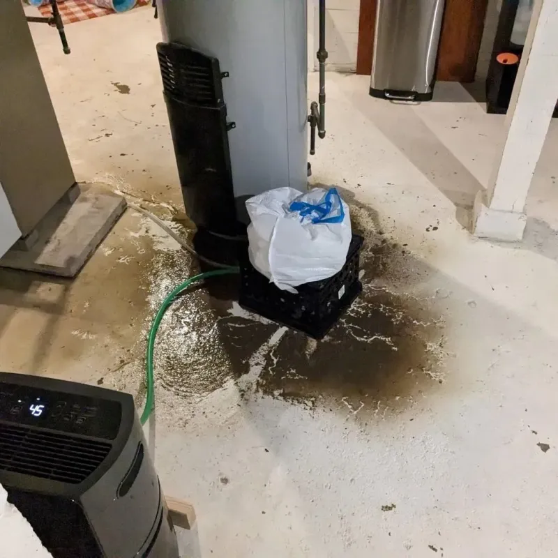 Sewage Backup Cleanup Service in Clanton, AL